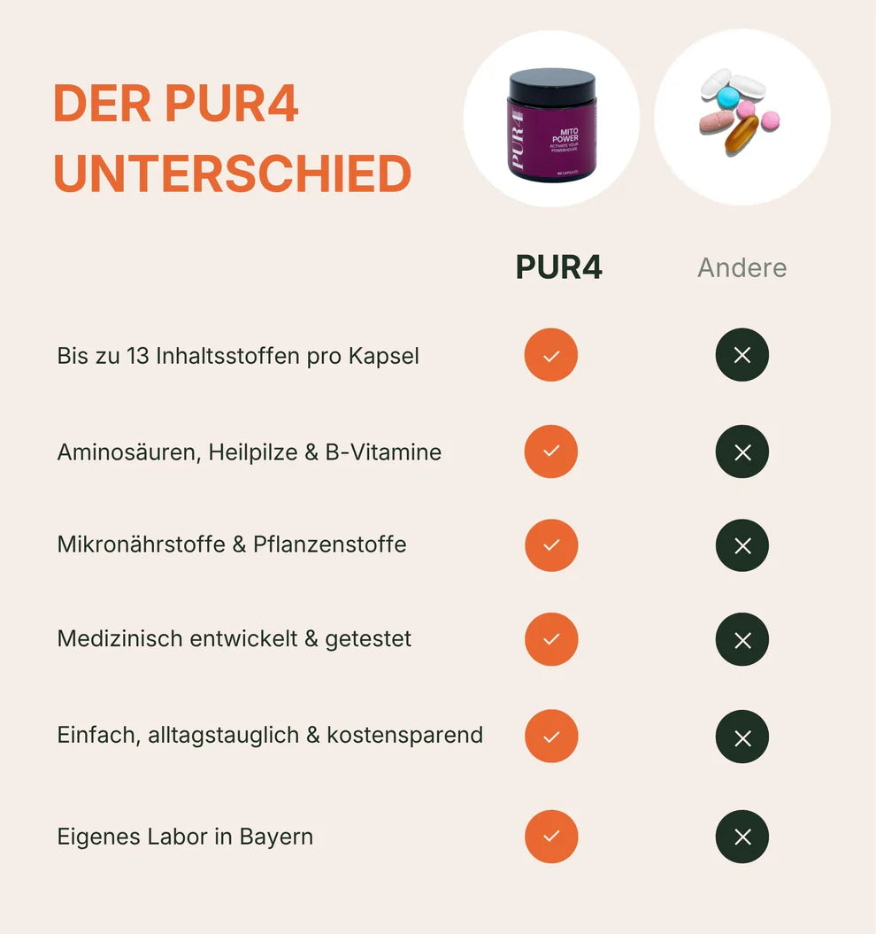 PUR4 - MITO POWER